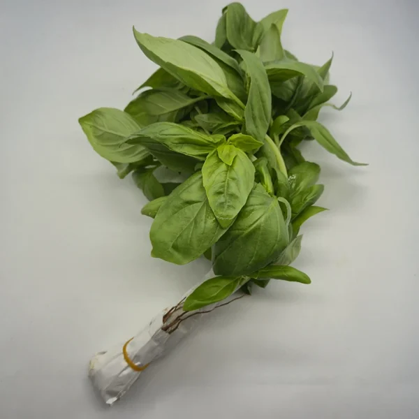 Basilico