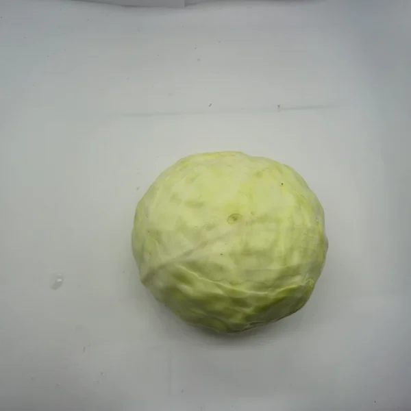 cavolo cappuccio rosso/verde