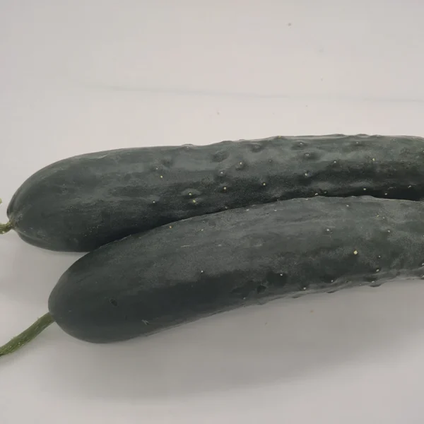 Cetriolo Lungo