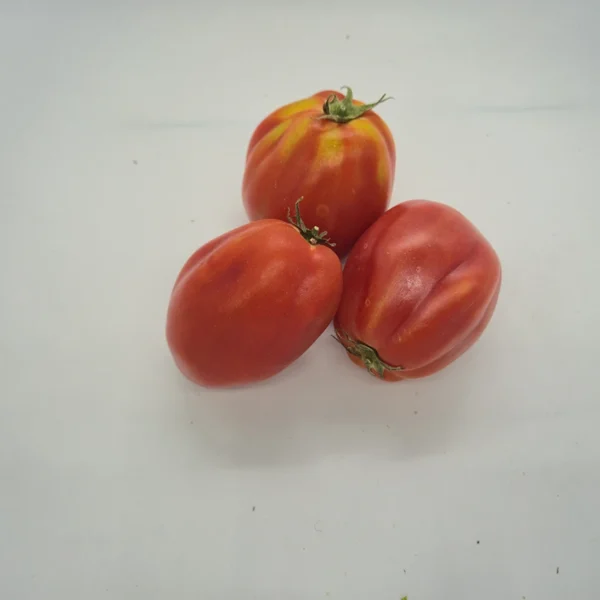 pomdoro cuore di bue rosa