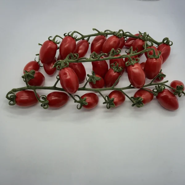 Pomodoro Datterino