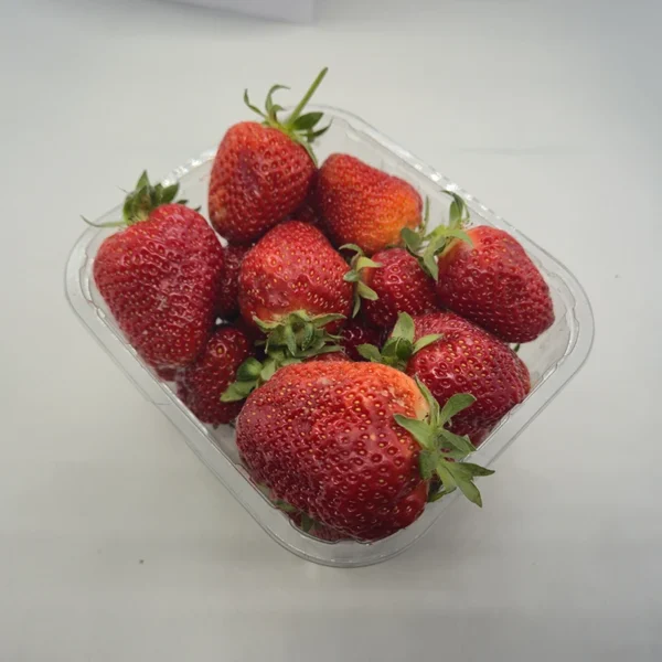fragole