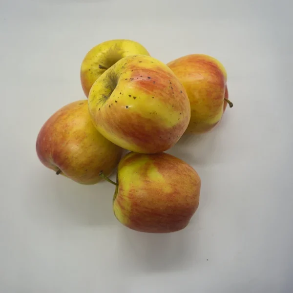 mela ambrosia