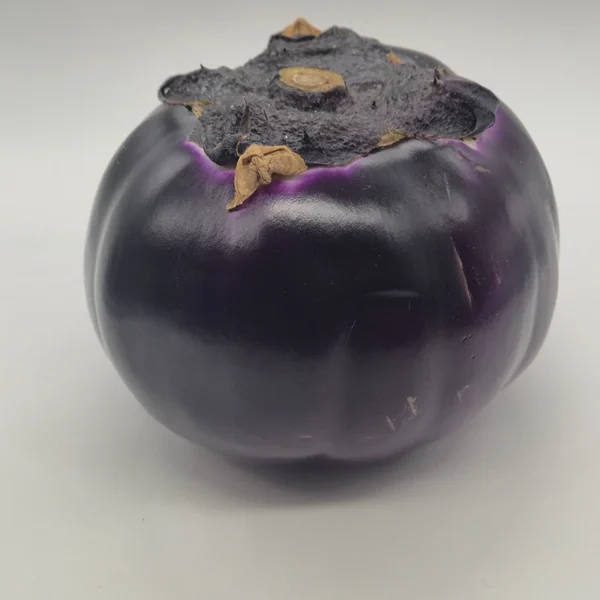 Melanzana Tonda