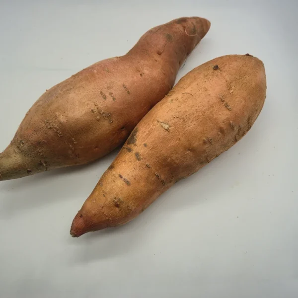 patata americana (batata)