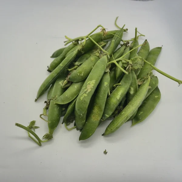 piselli freschi