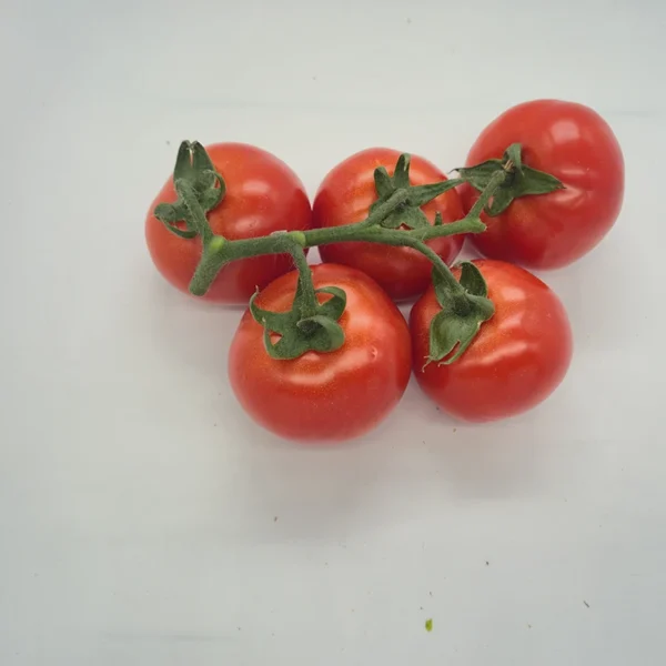 Pomodoro Ciliegino