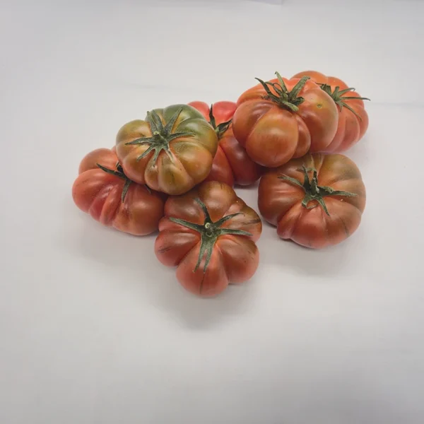 pomodoro costoluto