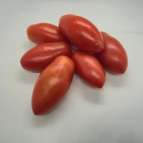 pomodoro perino