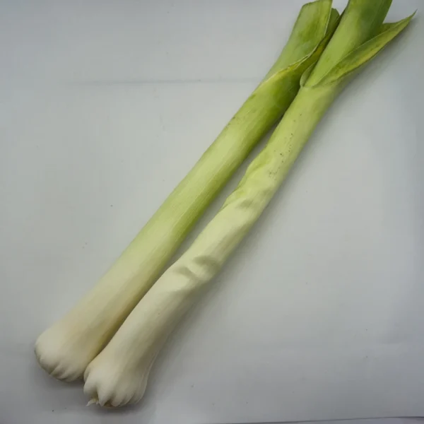 Porro