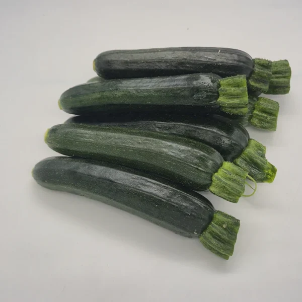 Zucchino Scuro